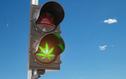Grünes leuchtendes Symbol eines Cannabisblattes auf einer Ampel.