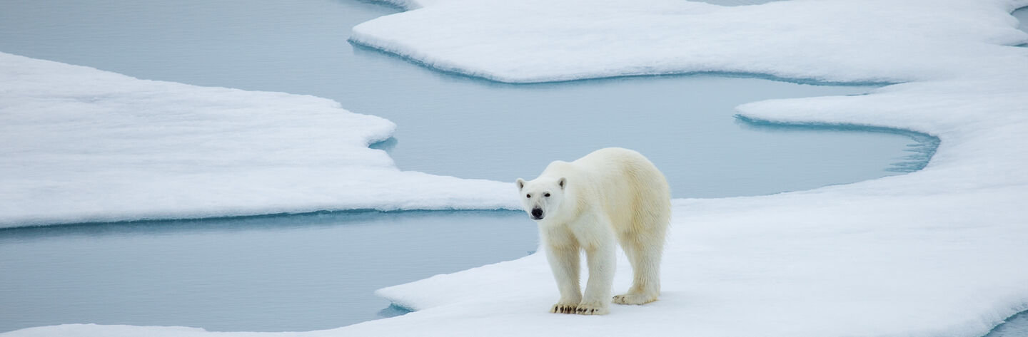 Expedition-Island-und-Spitzbergen-6.jpg ÖAMTC REISEN