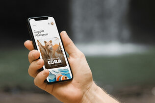 Eine Hand, die ein Handy hält um das digitale Wandererlebnis zu symbolisieren.