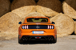 002_Ford Mustang_CMS.jpg