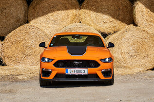 003_Ford Mustang_CMS.jpg