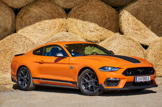 005_Ford Mustang_CMS.jpg
