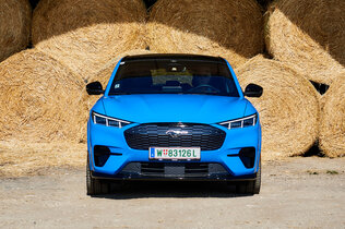 034_Ford Mustang_CMS.jpg