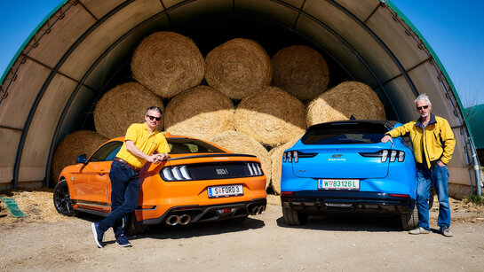 063_Ford Mustang_CMS.jpg