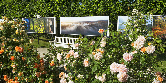 210615_Festivalimpressionen_0369_CMS.jpg Lois Lammerhuber