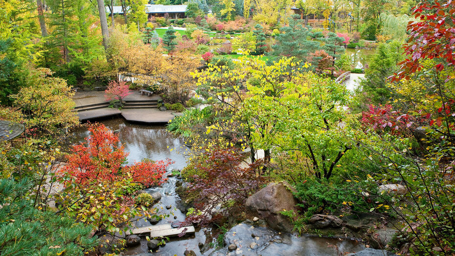 Anderson Gardens Fall.jpg