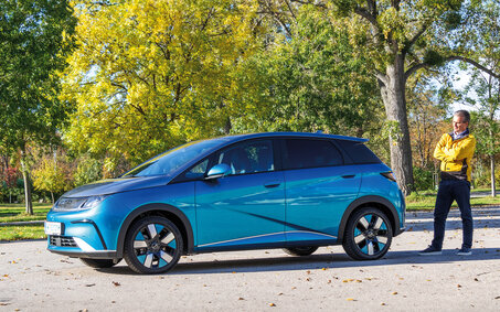 BYD Dolphin_Nov23_HE_134_CMS.jpg