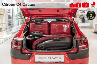 CitroenC4Cactus_komplett_neu.jpg