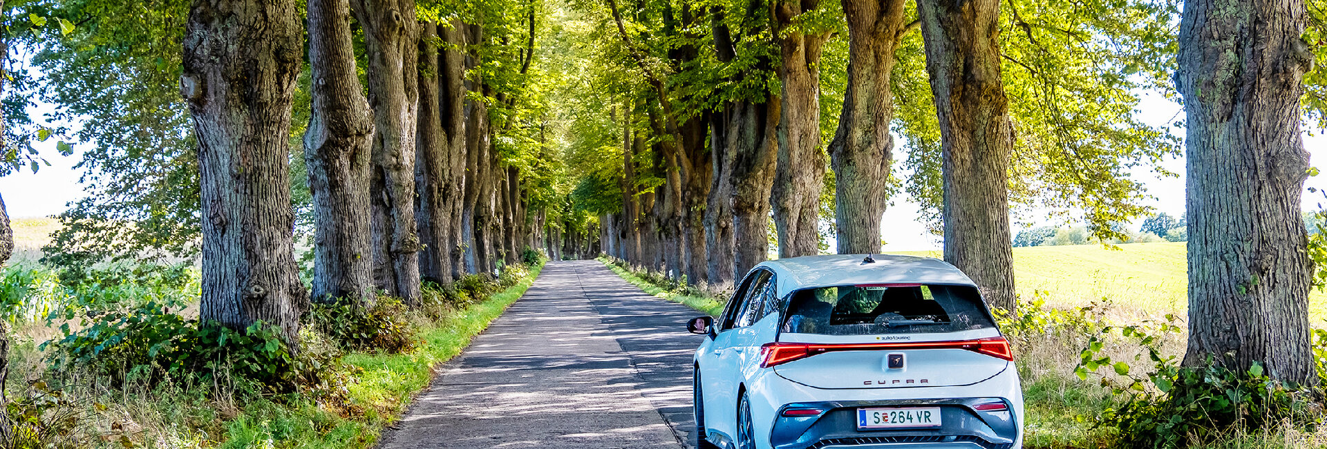 DSCF1097 (Kopie) Kopie.jpg