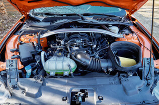 FORD MUSTANG MACH 1_er172.jpg
