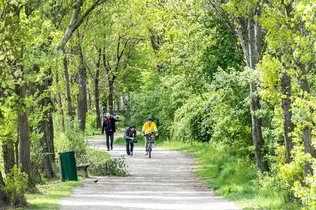 Fahrradvergleich_HEN6177 neu_CMS.jpg