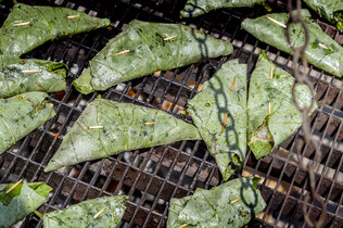 Gailtal_Alm Kochen_HEN_1357_CMS.jpg