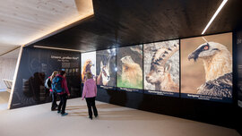 Hohe Tauern_023_CMS.jpg