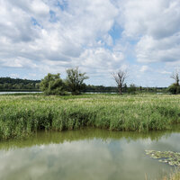 Blick quer über die Salzach-Inn-Mündung