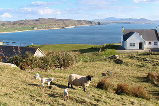 Wo es nicht mehr weiter geht