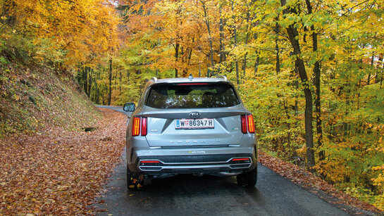 Kia Sorento_Herbst_Nov21_HE_394_CMS.jpg