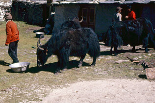 Nepal_Kargl_12_2020_CMS.jpg