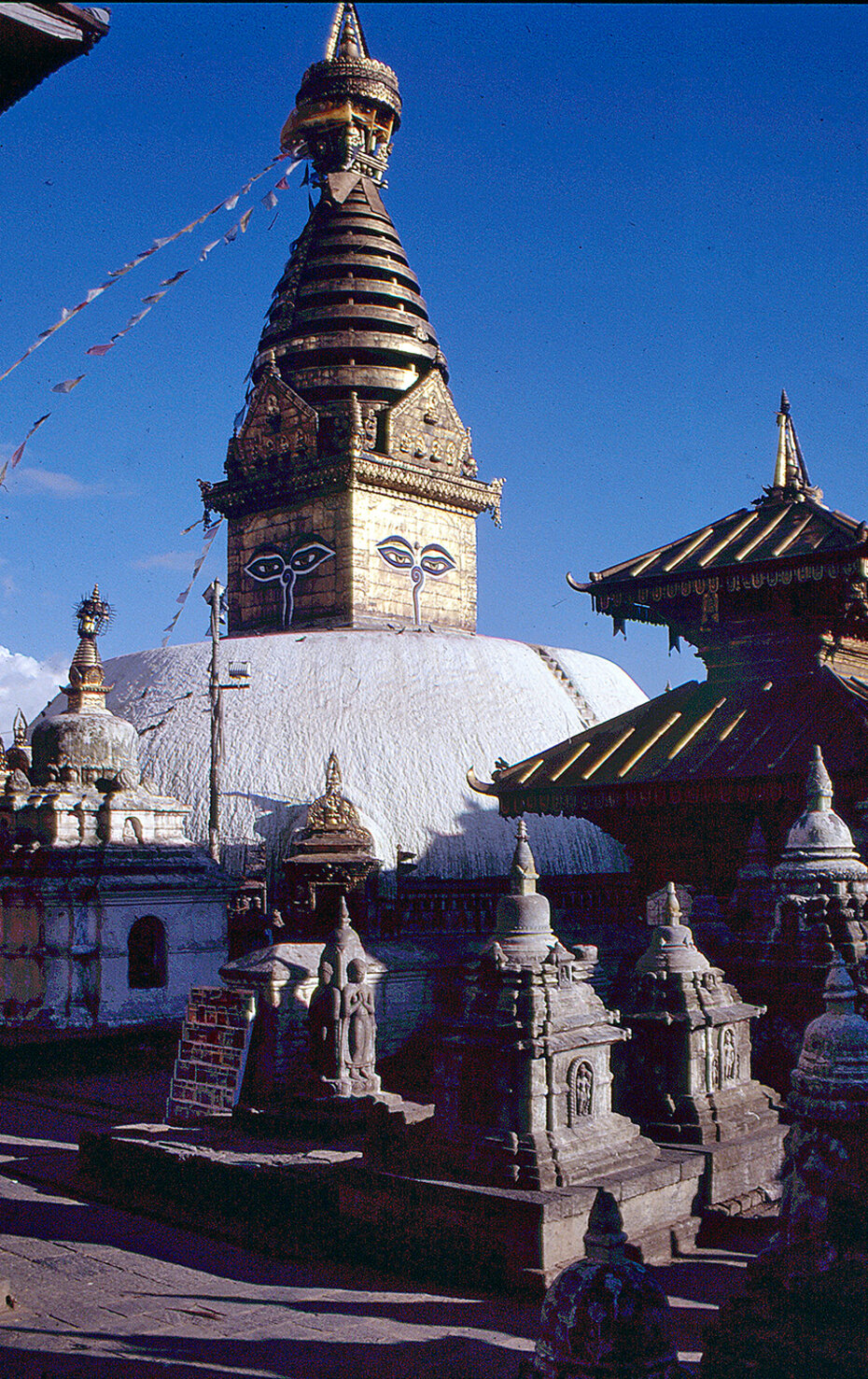 Nepal_NEU_Kargl_27_2020_CMS.jpg