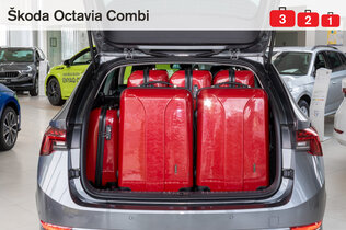 Skoda Octavia_Koffer_CMS.jpg