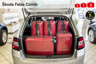 SkodaFabiaCombi_normal_neu.jpg