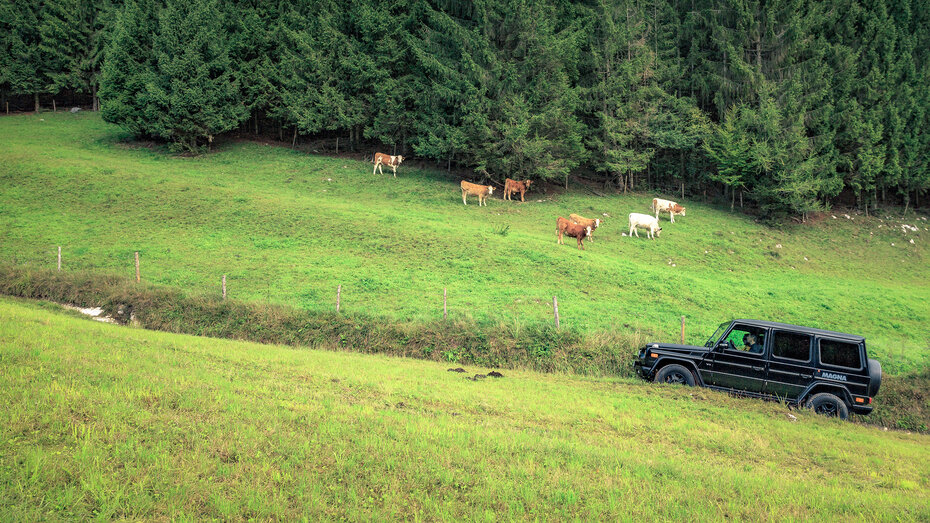 autoland_schöckl_2018-03_MZ_fill_4.jpg