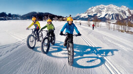 kids2web_alpinefatbikecom.jpg