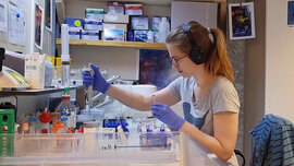 lab 1_cCarmen Possnig ESA_IPEV_PNRA.jpg