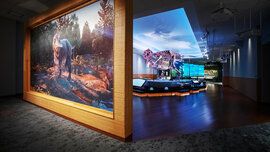 new suite_Field Museum_Martin Baumgaertner.jpg