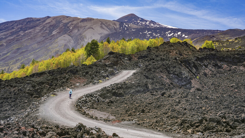 Summer landscape of Etna volcano, Sicily, Italy. Beautiful Travel photography