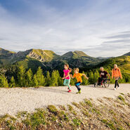 Wanderweg in den Bergen in Kärnten. Zwei Kinder laufen vor, die Erwachsenen, ein Mann im Rollstuhl und eine Frau folgen ihnen.