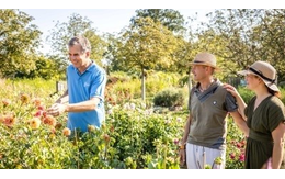 Die Garten Tulln 2025 Donau Niederösterreich