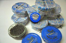 Viele verpackte Kavier Dosen.