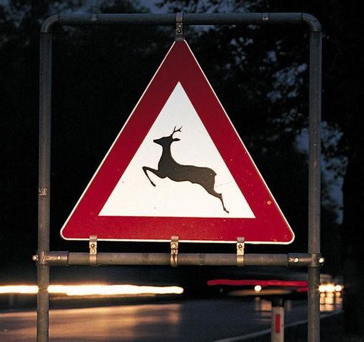Nachts auf einer Straße steht ein Schild, das auf einen Rehüberweg hinweist, umgeben von Dunkelheit. Das dreieckige Schild hat einen roten Rand, in der Mitte einen weißen Hintergrund mit einem springenden Reh als Symbol.