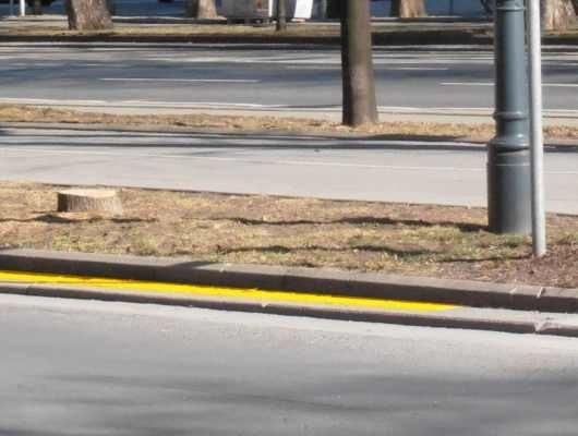 Eine gelbe durchgehende Bodenline entlang an einem Fahrbahnrand zeigt ein Halte- und Parkverbot an.