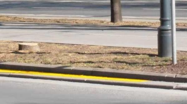 Eine gelbe durchgehende Bodenline entlang an einem Fahrbahnrand zeigt ein Halte- und Parkverbot an.