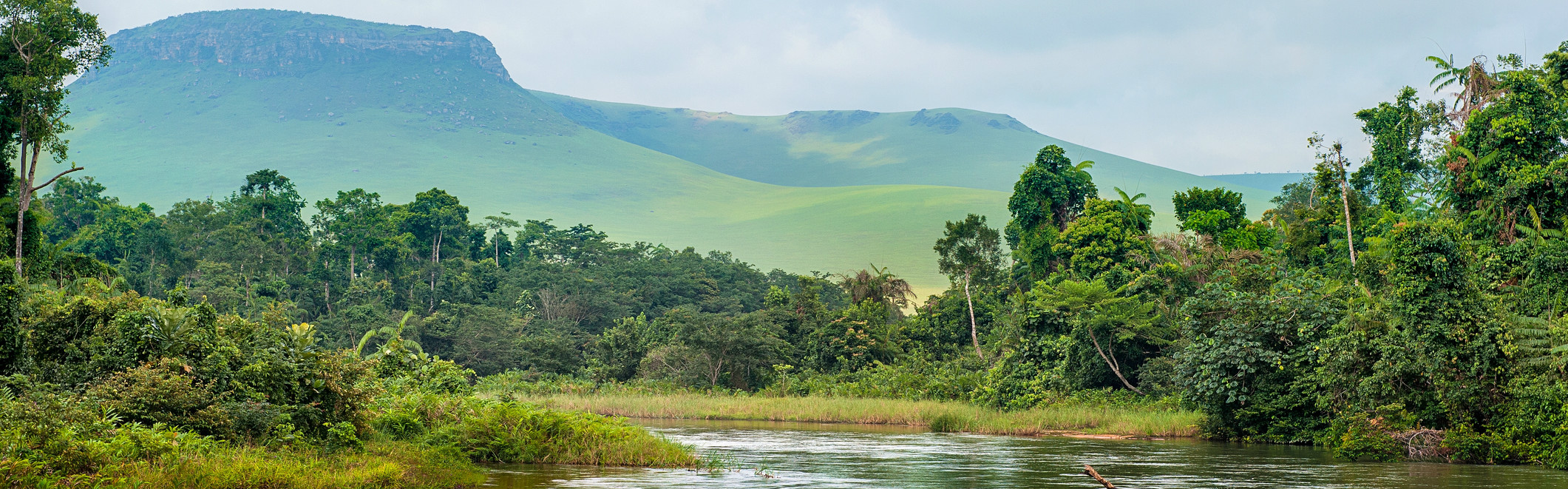 Panoramablick auf grüne Berge und dichten Wald in der Demokratischen Republik Kongo