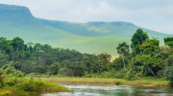 Panoramablick auf grüne Berge und dichten Wald in der Demokratischen Republik Kongo