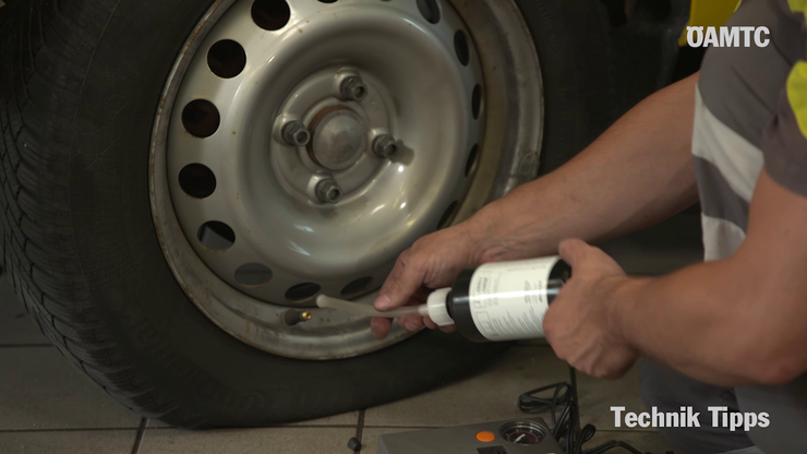 Platzhalter Platzhalter