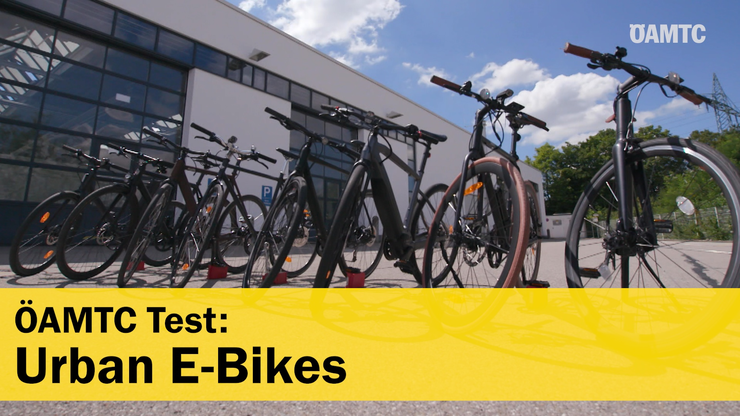 Platzhalter Platzhalter