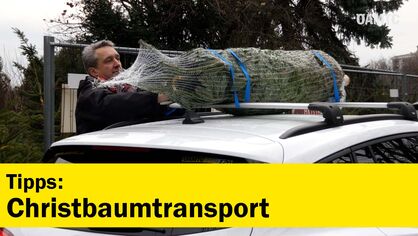 Tipps: Christbaumtransport
