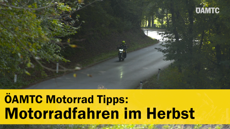 Platzhalter Platzhalter