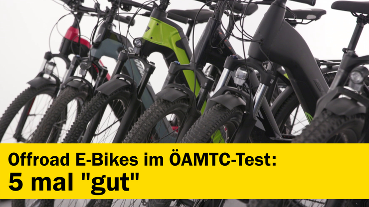 Platzhalter Platzhalter