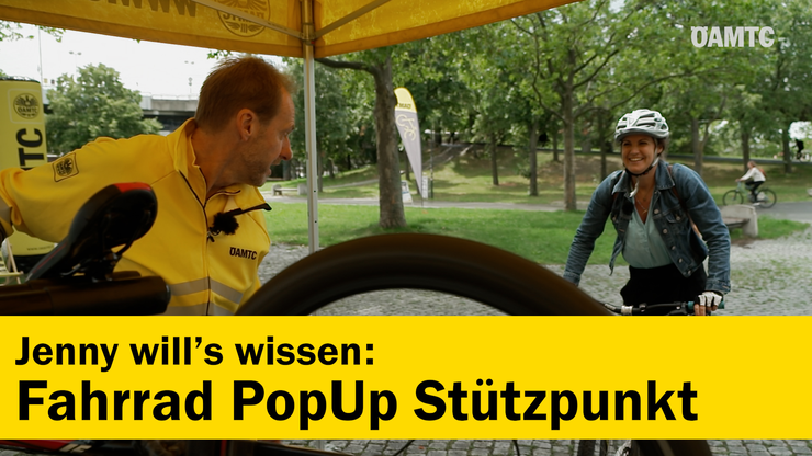 Platzhalter Platzhalter