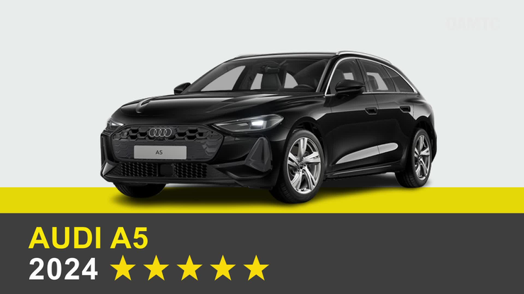 Platzhalter Platzhalter