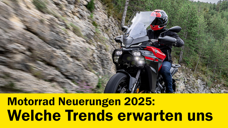 Platzhalter Platzhalter