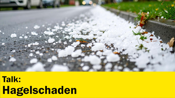 Platzhalter Platzhalter