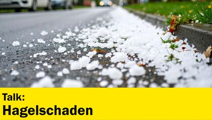 2508_Hagelschaden_Talk.mp4 2508_Hagelschaden_Talk.mp4