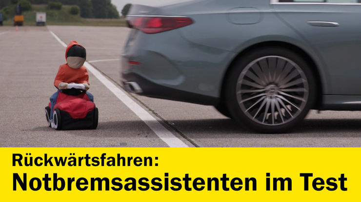 Platzhalter Platzhalter