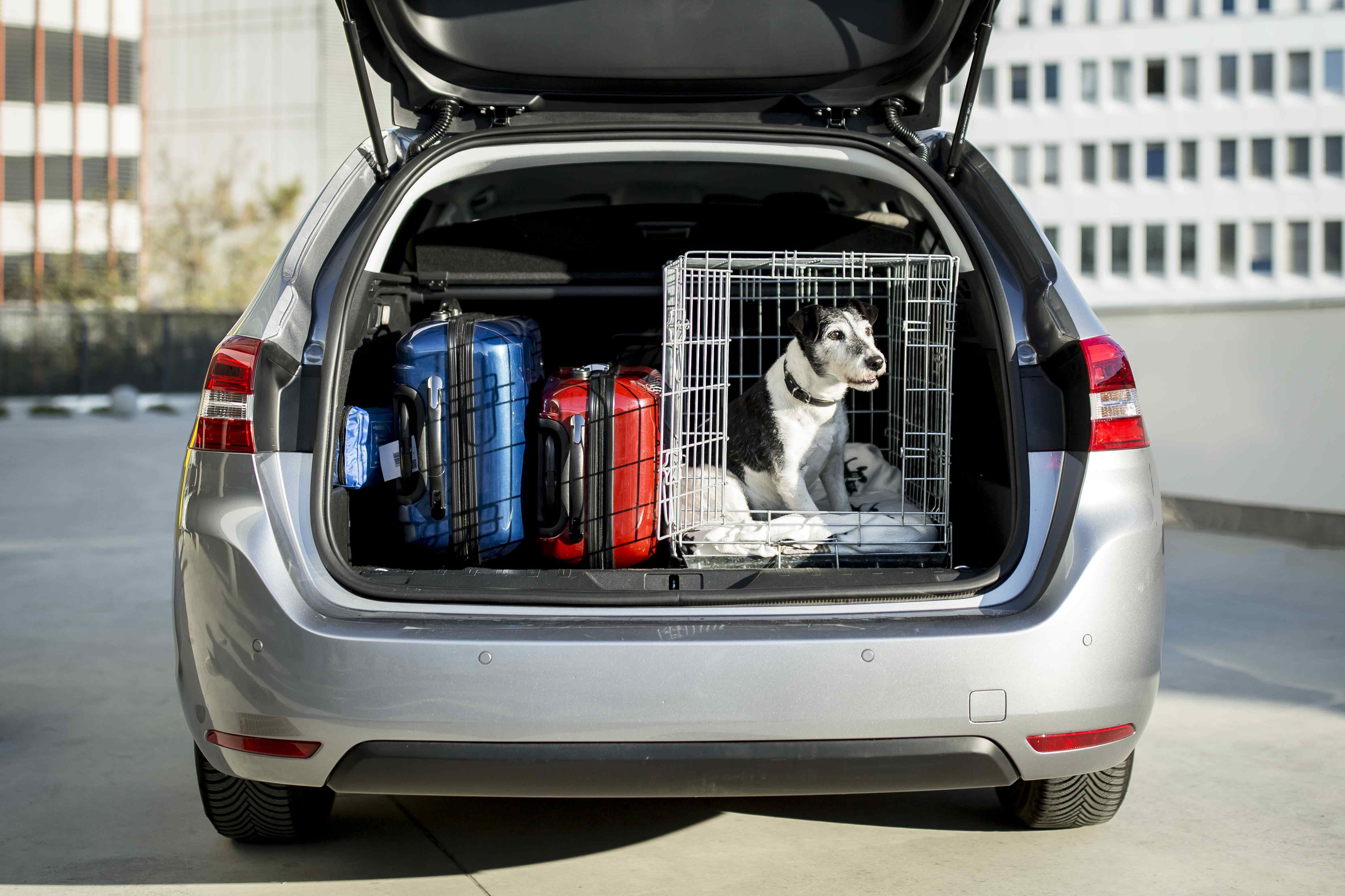 Ein Auto mit geöffnetem Kofferraum, vorbereitet für eine Reise mit Hund in der Transportbox