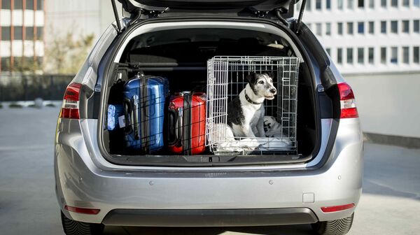 Ein Auto mit geöffnetem Kofferraum, vorbereitet für eine Reise mit Hund in der Transportbox